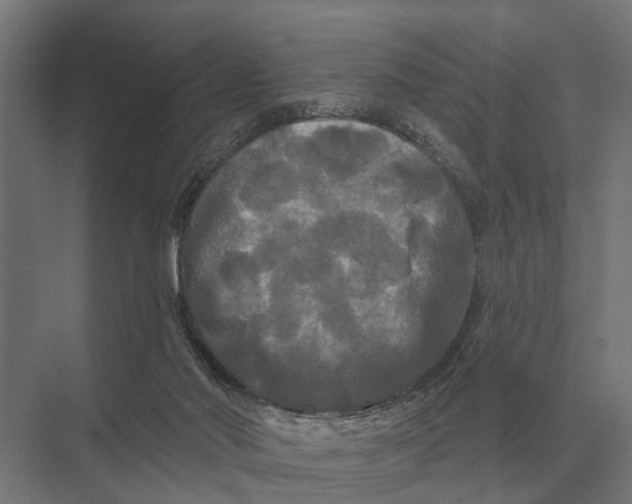 X0000074010022200609181846