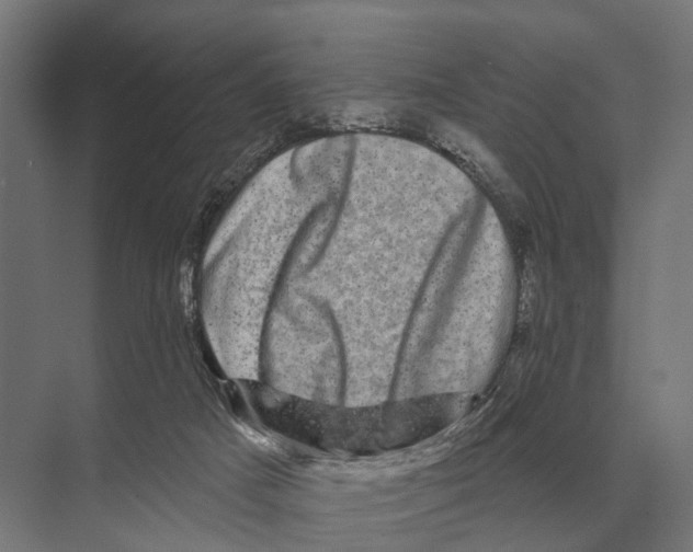 X0000074010025200609181846