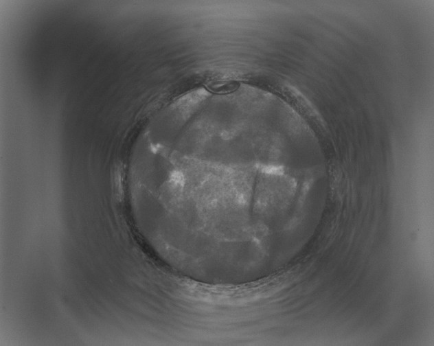 X0000074010026200609181846