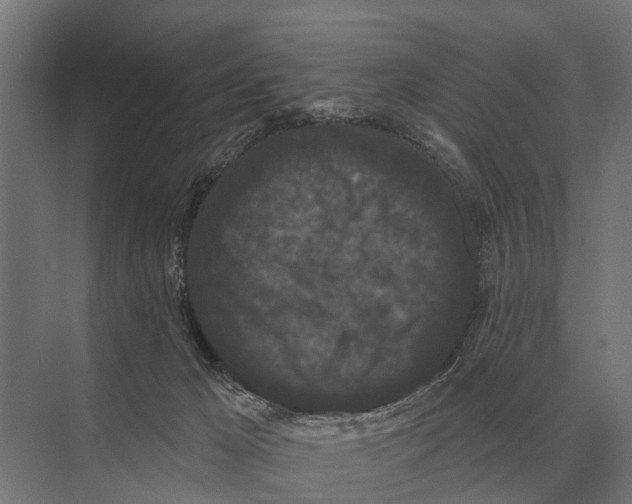 X0000074010029200609181846