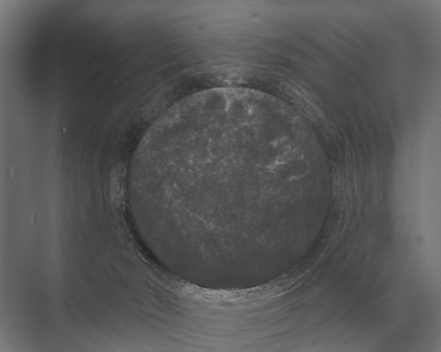 X0000074010030200609181846