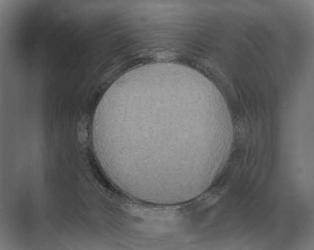 X0000074010032200609181846