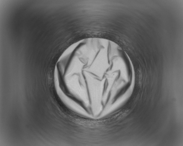 X0000074010040200609181845