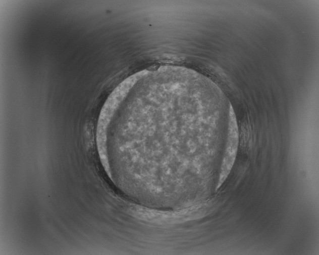 X0000074010043200609181845