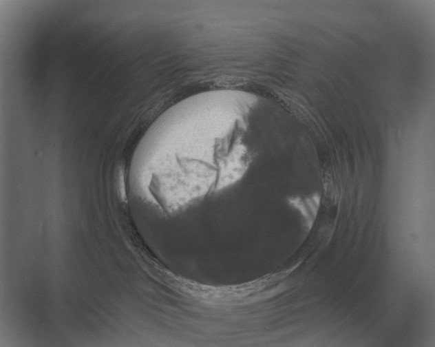 X0000074010046200609181845