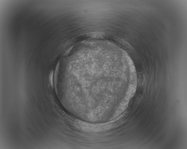 X0000074010047200609181845