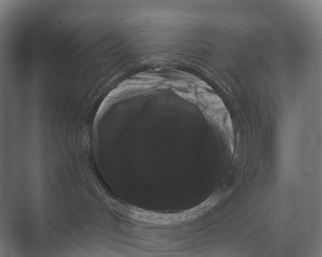 X0000074010048200609181845