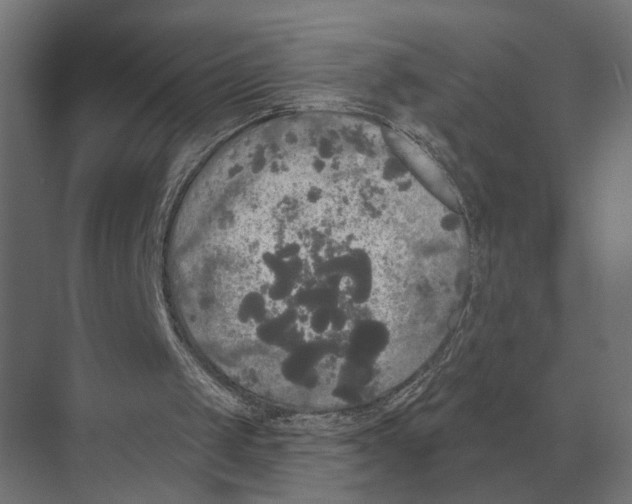 X0000074010049200609181845