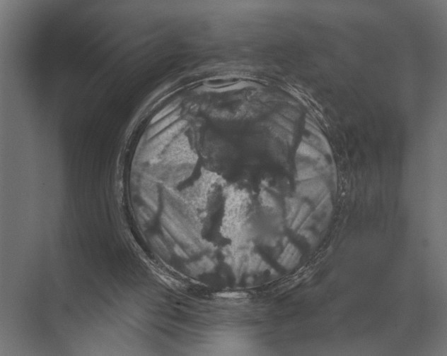 X0000074010053200609181845