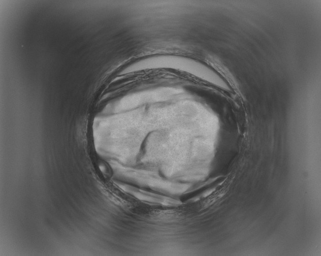 X0000074010058200609181845