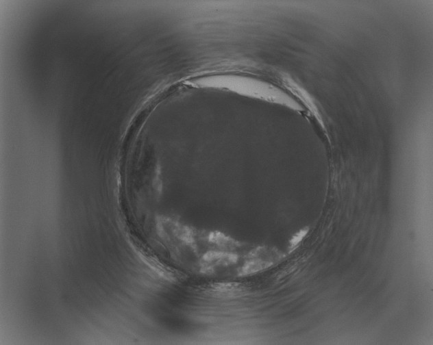 X0000074010059200609181845