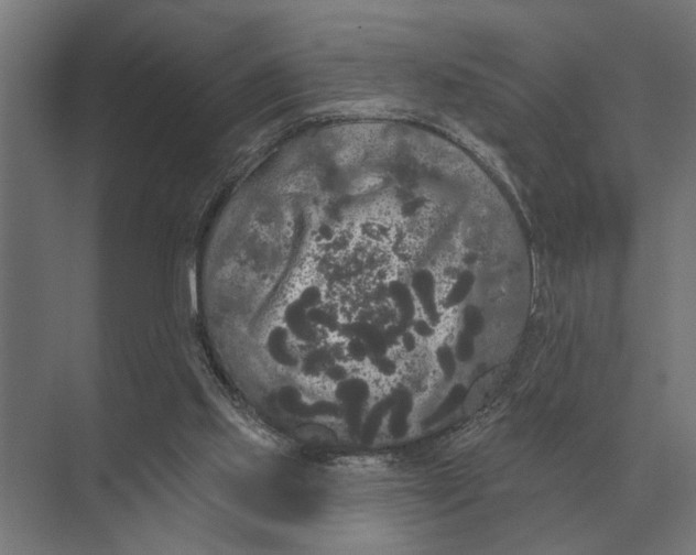 X0000074010061200609181845