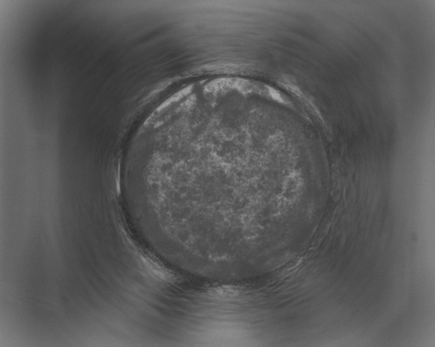 X0000074010062200609181845