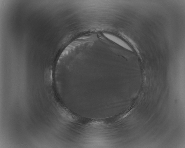 X0000074010067200609181845