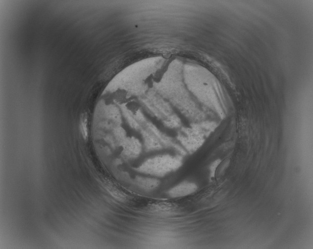 X0000074010069200609181845