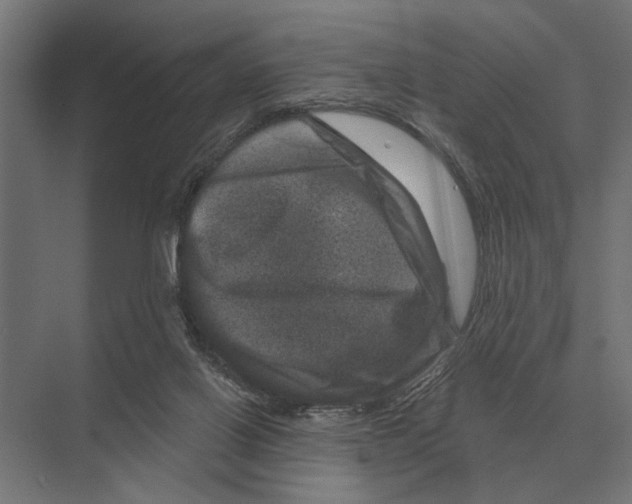 X0000074010070200609181845