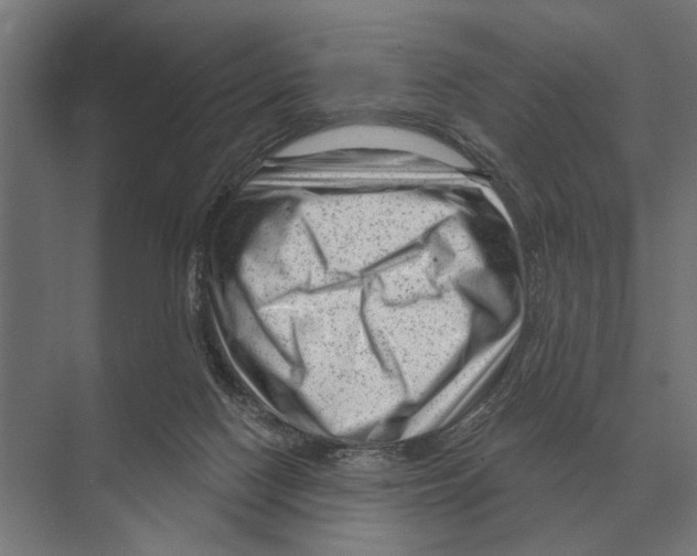 X0000074010074200609181845