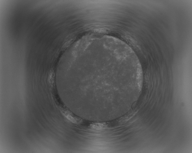 X0000074010079200609181845