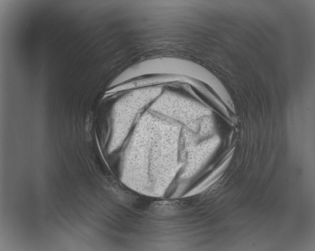 X0000074010082200609181845