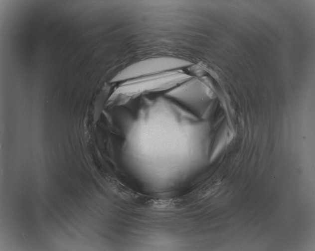 X0000074010088200609181845