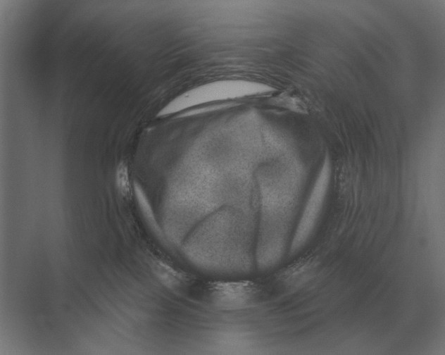 X0000074010089200609181845