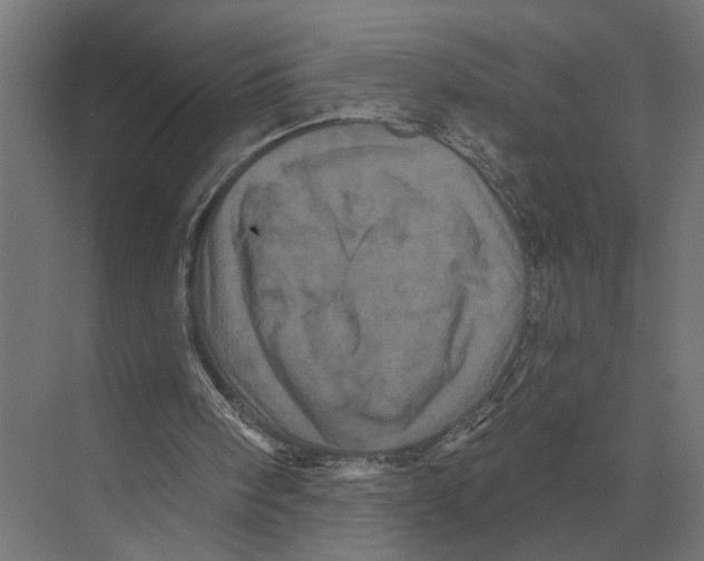 X0000074010098200609181844