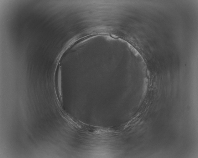 X0000074010099200609181844