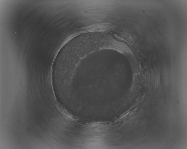 X0000074010100200609181844