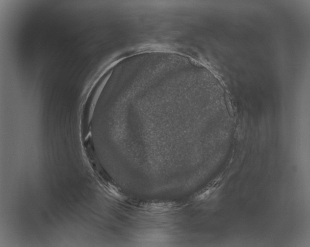 X0000074010103200609181844