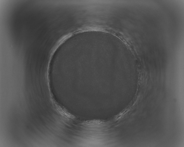 X0000074010104200609181844