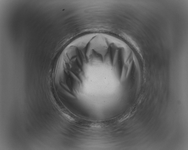 X0000074010105200609181844