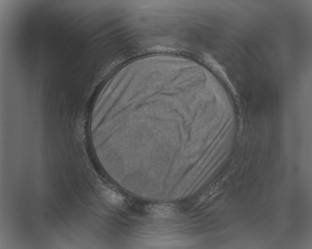 X0000074010106200609181844