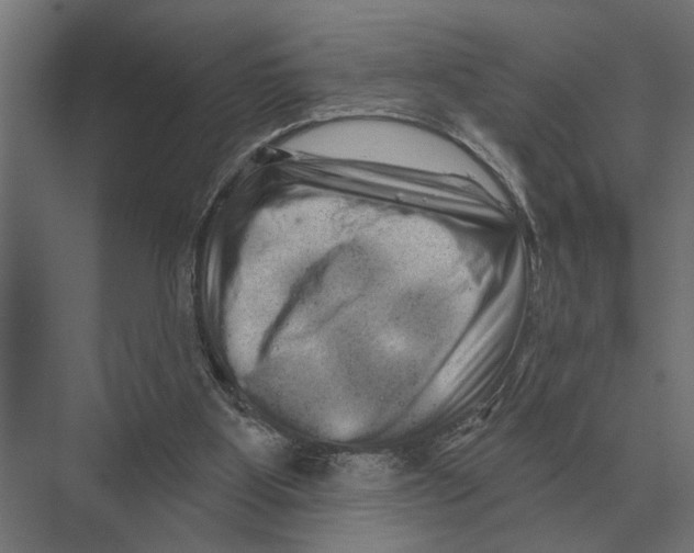 X0000074010107200609181844