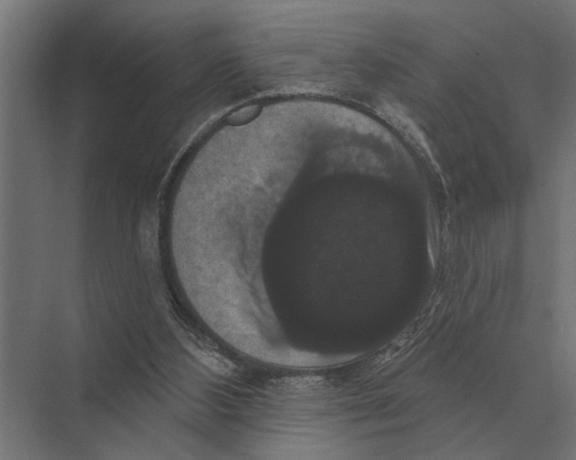 X0000074010108200609181844