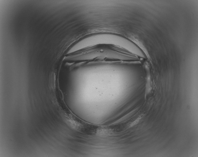 X0000074010109200609181844