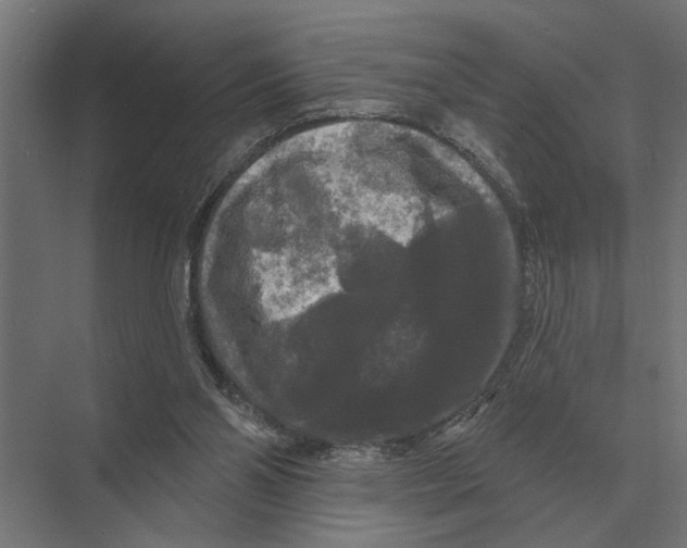 X0000074010110200609181844