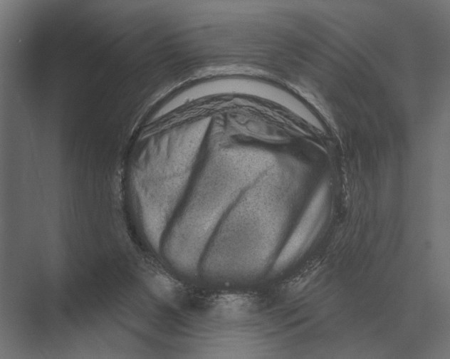 X0000074010111200609181844