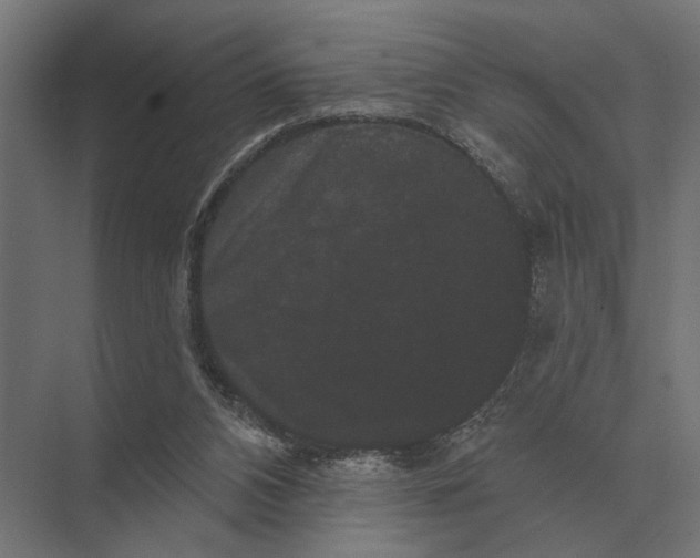 X0000074010112200609181844