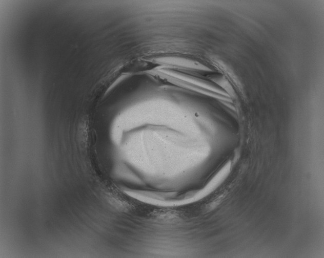 X0000074010113200609181844