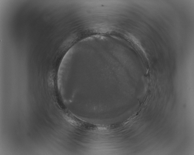 X0000074010114200609181844