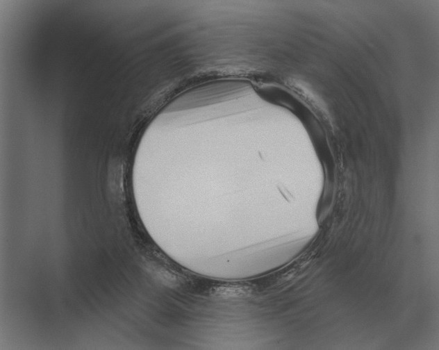 X0000074010115200609181844