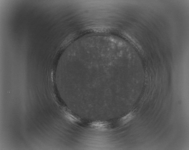 X0000074010117200609181844