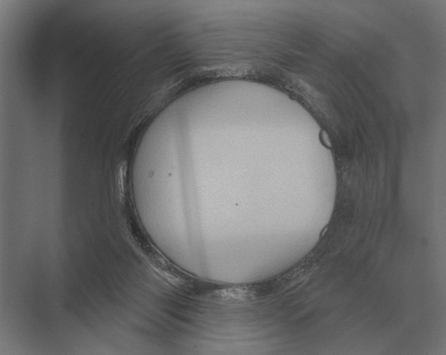 X0000074010118200609181844