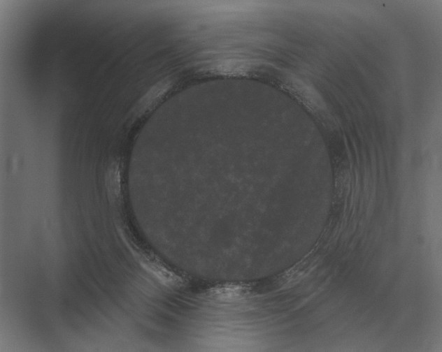 X0000074010120200609181844