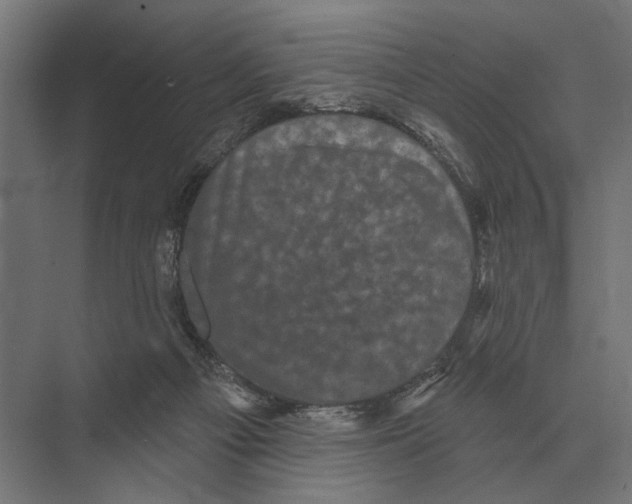 X0000074010121200609181844