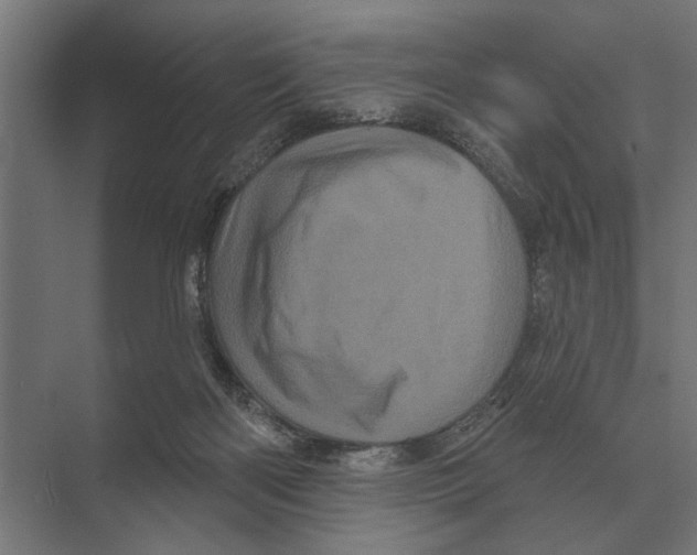 X0000074010122200609181844