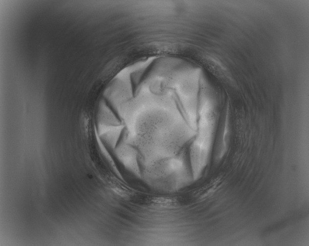 X0000074010123200609181844