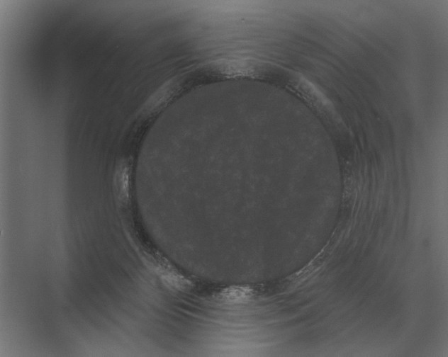 X0000074010124200609181844