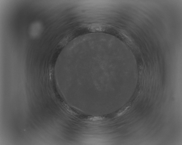 X0000074010125200609181844