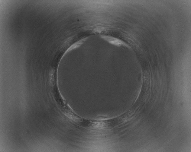 X0000074010127200609181844